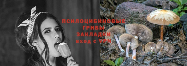 гидра Армянск